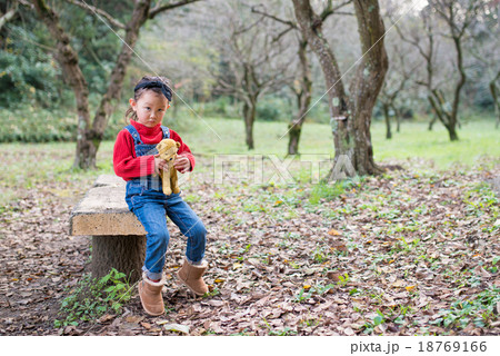 熊の縫い包みと女の子 熊の縫い包みと女の子 18769166