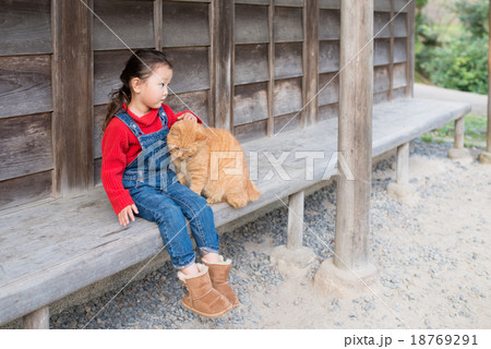 猫と女の子 18769291