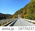 青空と紅葉 18770237