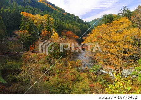 秋川渓谷紅葉 18770452