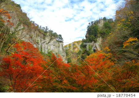 神戸岩紅葉 18770454