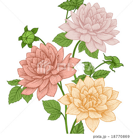 Vector floral pattern 18770869