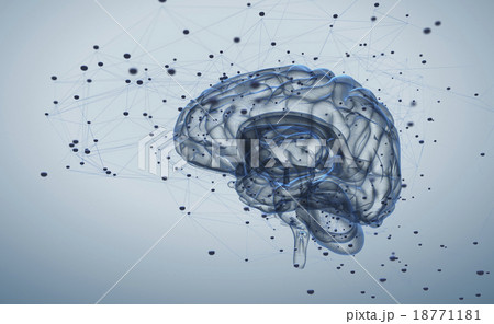 Brain activity 18771181