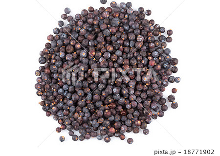 Dried black currant 18771902