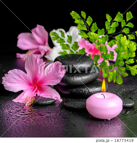 spa concept of pink hibiscus flowers, fern branch 18773419