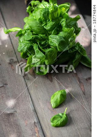 Fresh organic basil 18774844