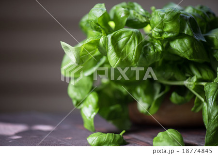 Fresh organic basil 18774845