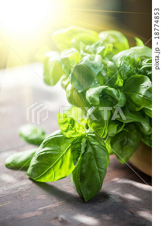 Fresh organic basil 18774853