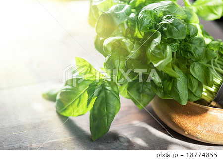 Fresh organic basil 18774855