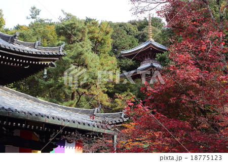 京都 今熊野観音寺の紅葉 京都 今熊野観音寺の紅葉 18775123
