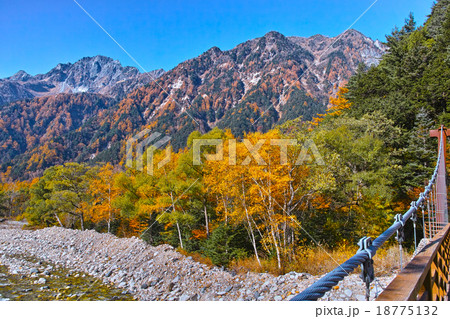秋の上高地　横尾大橋の風景 18775132