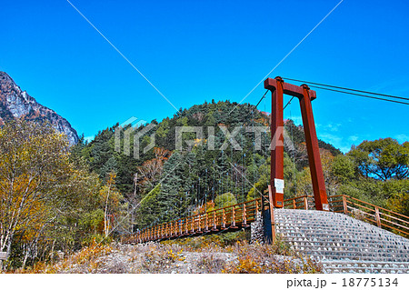 秋の上高地 横尾大橋の風景の写真素材