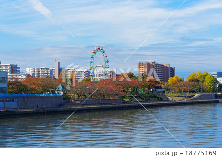 小台橋より荒川遊園の観覧車と紅葉を臨む 小台橋より荒川遊園の観覧車と紅葉を臨む 18775169