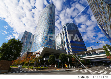 紅葉の品川インターシティと品川グランドコモンズ 紅葉の品川インターシティと品川グランドコモンズ 18775176
