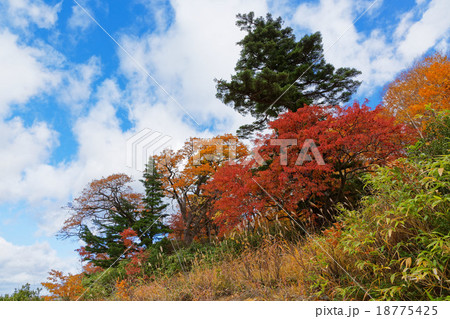 十和田八幡平国立公園の後生掛温泉の紅葉 十和田八幡平国立公園の後生掛温泉の紅葉 18775425