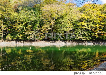 青空が広がる世界遺産の十二湖・鶏頭場の池 18775449