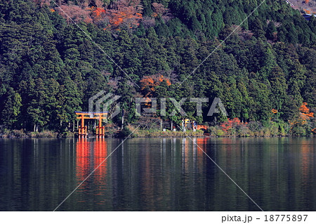 芦ノ湖平和の鳥居 18775897