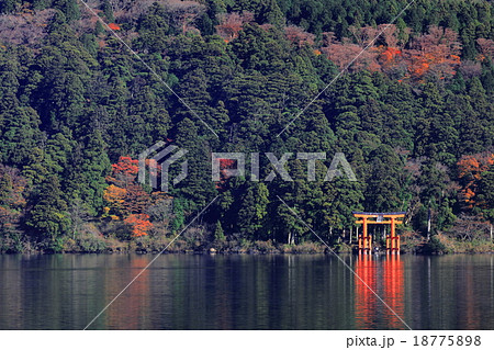 芦ノ湖平和の鳥居 18775898