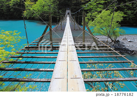 寸又峡夢の吊り橋 寸又峡夢の吊り橋 18776182