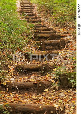 野山北・六道山公園 18776222