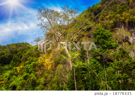 mountains and sunshine in Thailand mountains and sunshine in Thailand 18776335