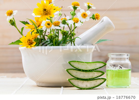 Alternative health care fresh herbal Aloe vera  18776670