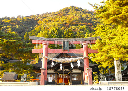 滋賀県　白髭神社、正面 18778053