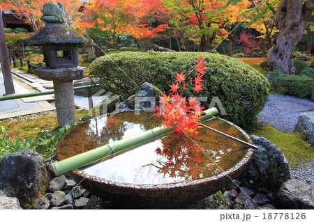 圓光寺11 18778126