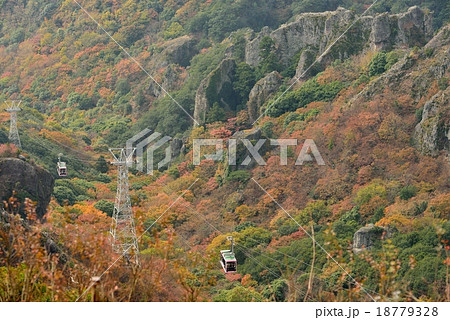 秋の寒霞渓 18779328