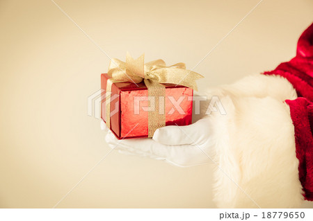 Santa Claus holding gift box 18779650