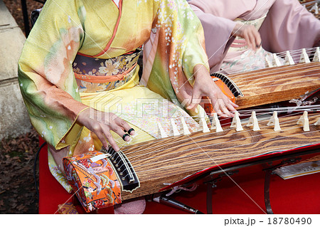 琴の演奏 琴の演奏 18780490