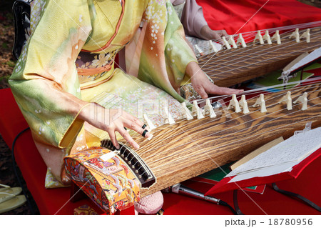 琴の演奏 琴の演奏 18780956