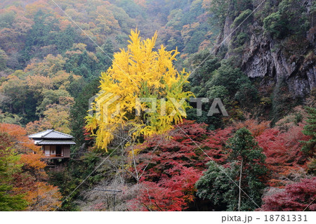 足利の行道山浄因寺 秋 足利の行道山浄因寺 秋 18781331