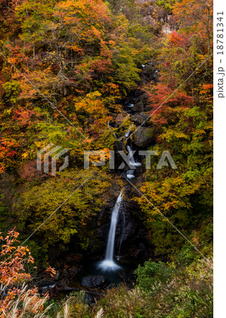 福井県 紅葉のサコサガ滝の写真素材