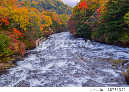 紅葉の奥日光 竜頭ノ滝と川 紅葉の奥日光 竜頭ノ滝と川 18781342