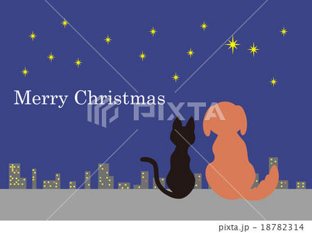 クリスマスカードDog&Cat02 18782314