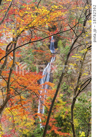 紅葉と丸神の滝 18782562
