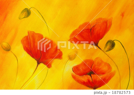 Red poppy on orange background. Red flower on Red poppy on orange background. Red flower on 18782573