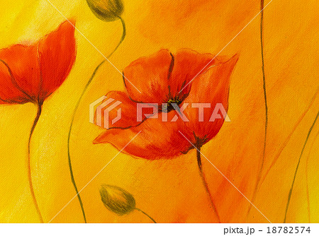 Red poppy on orange background. Red poppies. Red Red poppy on orange background. Red poppies. Red 18782574