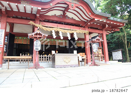 来宮神社 阿豆佐和気神社 パワースポット 18782647