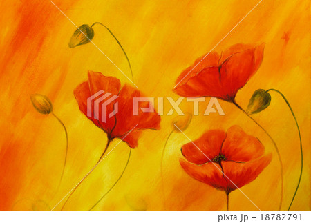 Red poppy on orange background. Red poppies. Red Red poppy on orange background. Red poppies. Red 18782791