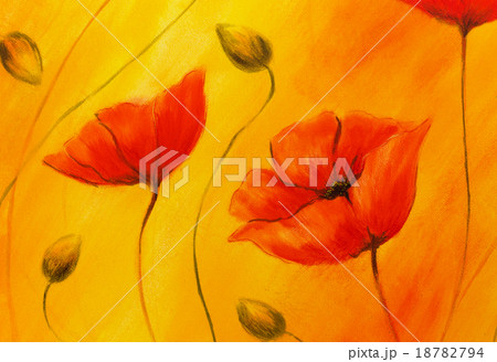 Red poppy on orange background. Red poppies. Red Red poppy on orange background. Red poppies. Red 18782794