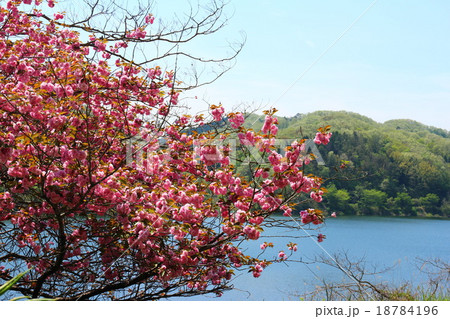 Japan,Miyagi,Lake Japan,Miyagi,Lake 18784196