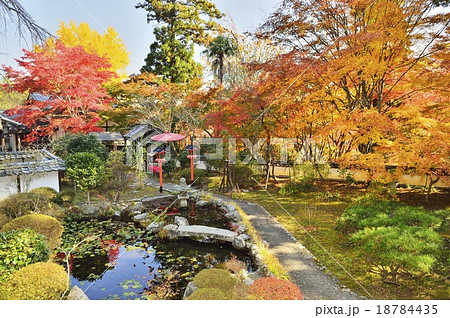 十輪寺 日本庭園 18784435