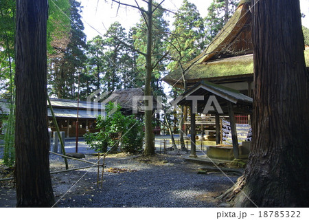 熊野神社 18785322