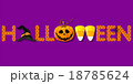 Halloween word with hat and pumpkin and candy 18785624