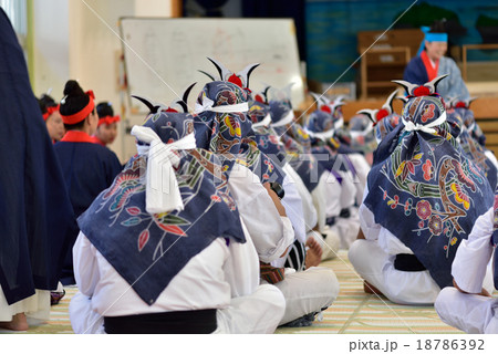 西表島の節祭 18786392