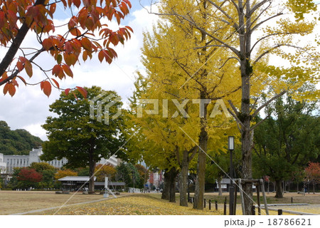 秋の城山公園 秋の城山公園 18786621