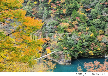 寸又峡の紅葉 寸又峡の紅葉 18787077