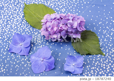 和布上に置いたアジサイの花 18787240